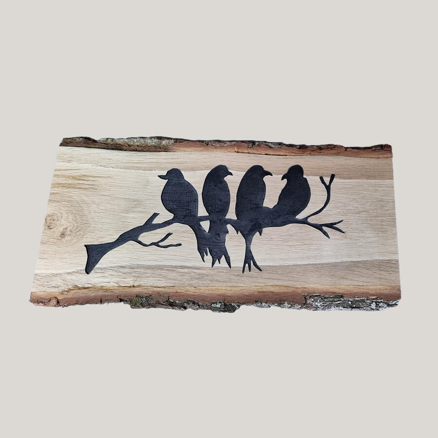 Vier Vogels